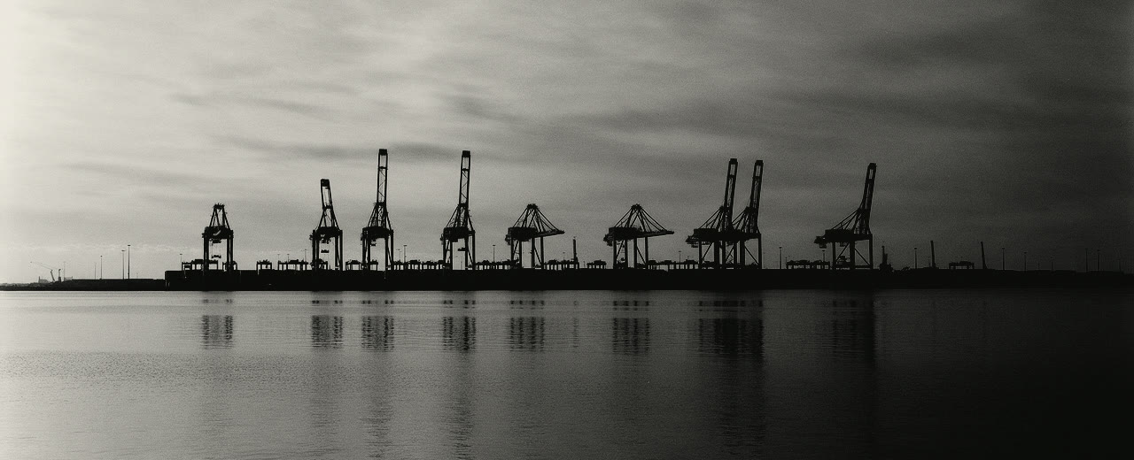 A row of gantry cranes at a container terminal, seen across still water.